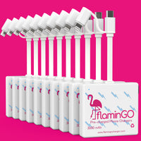 FlaminGo Charger Ten-Pack