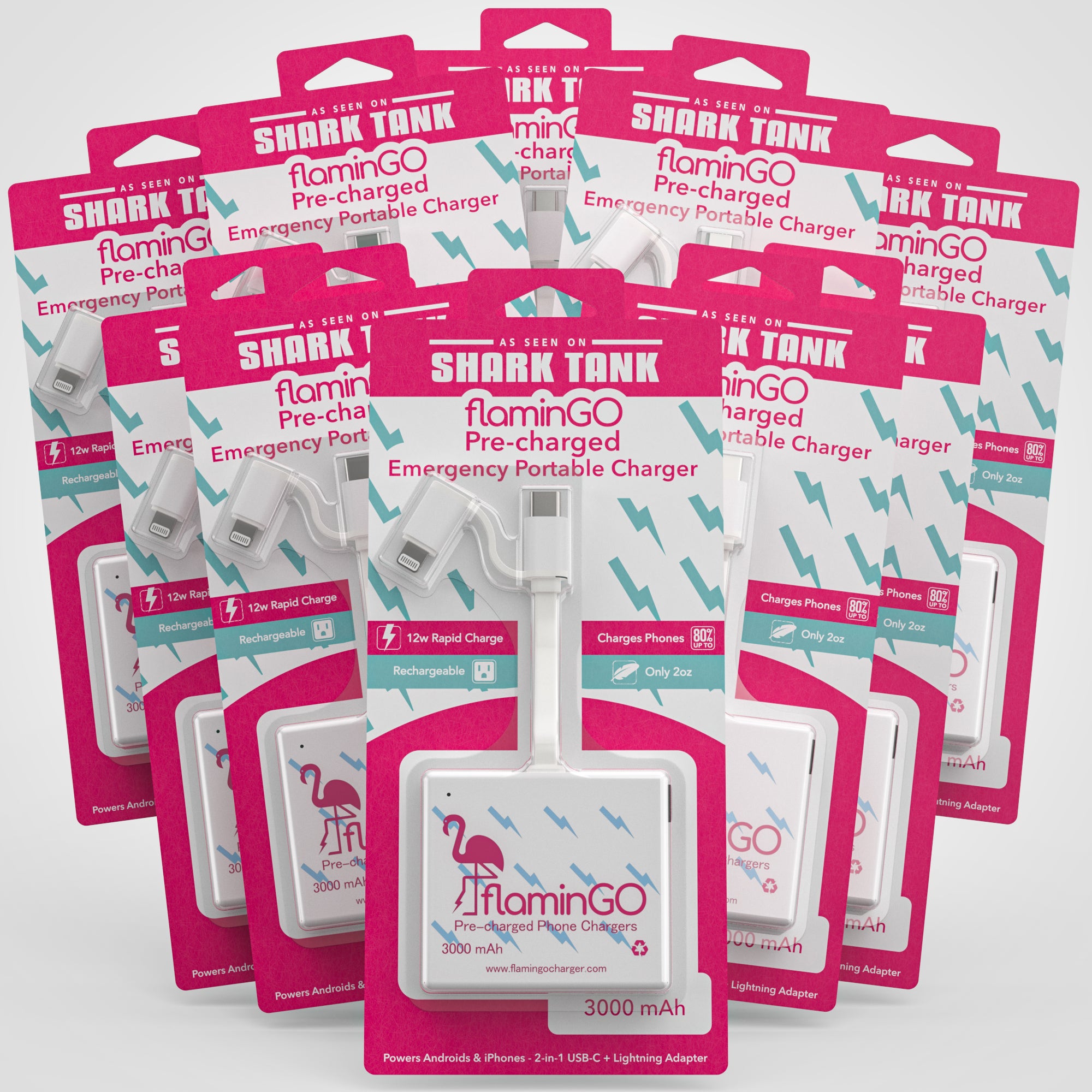 FlaminGo Charger Ten-Pack