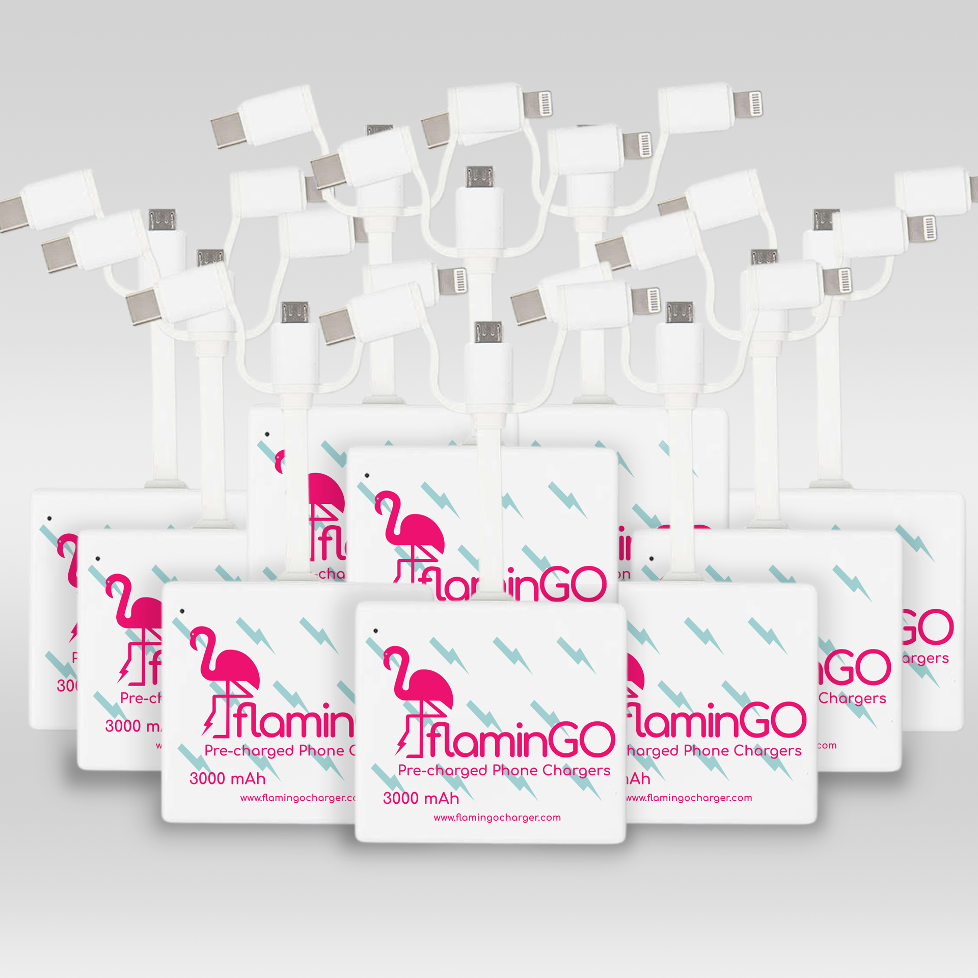 FlaminGo Charger Ten-Pack