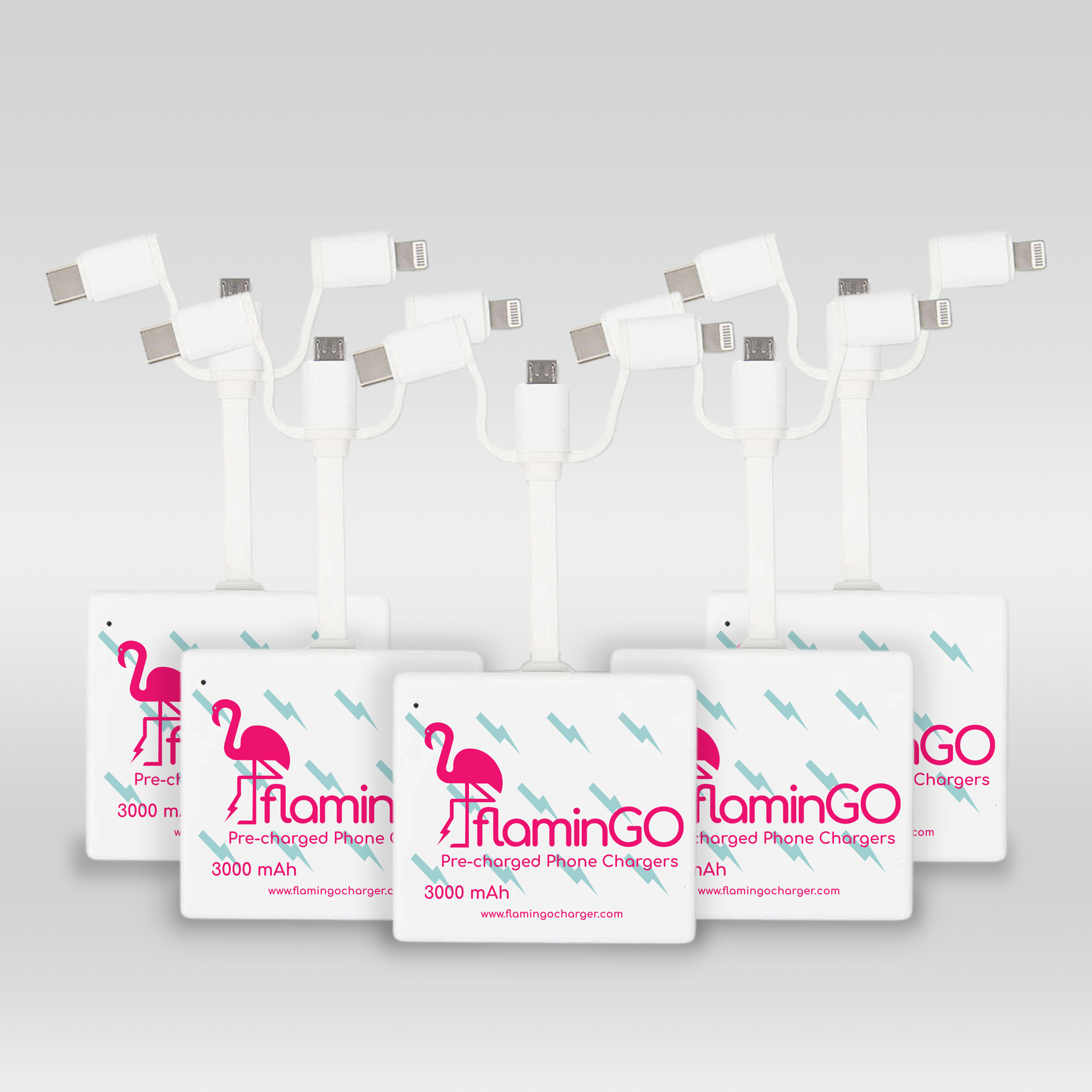 FlaminGo Charger Five-Pack