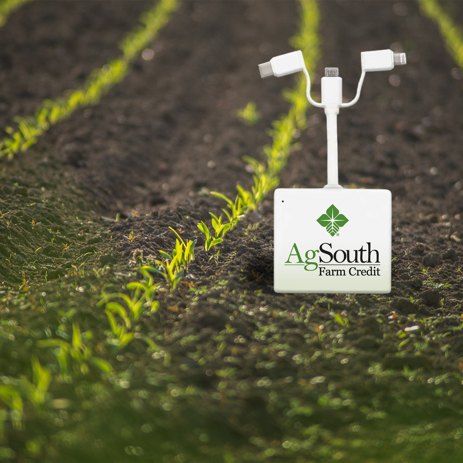 AGSouth-Mockup.png