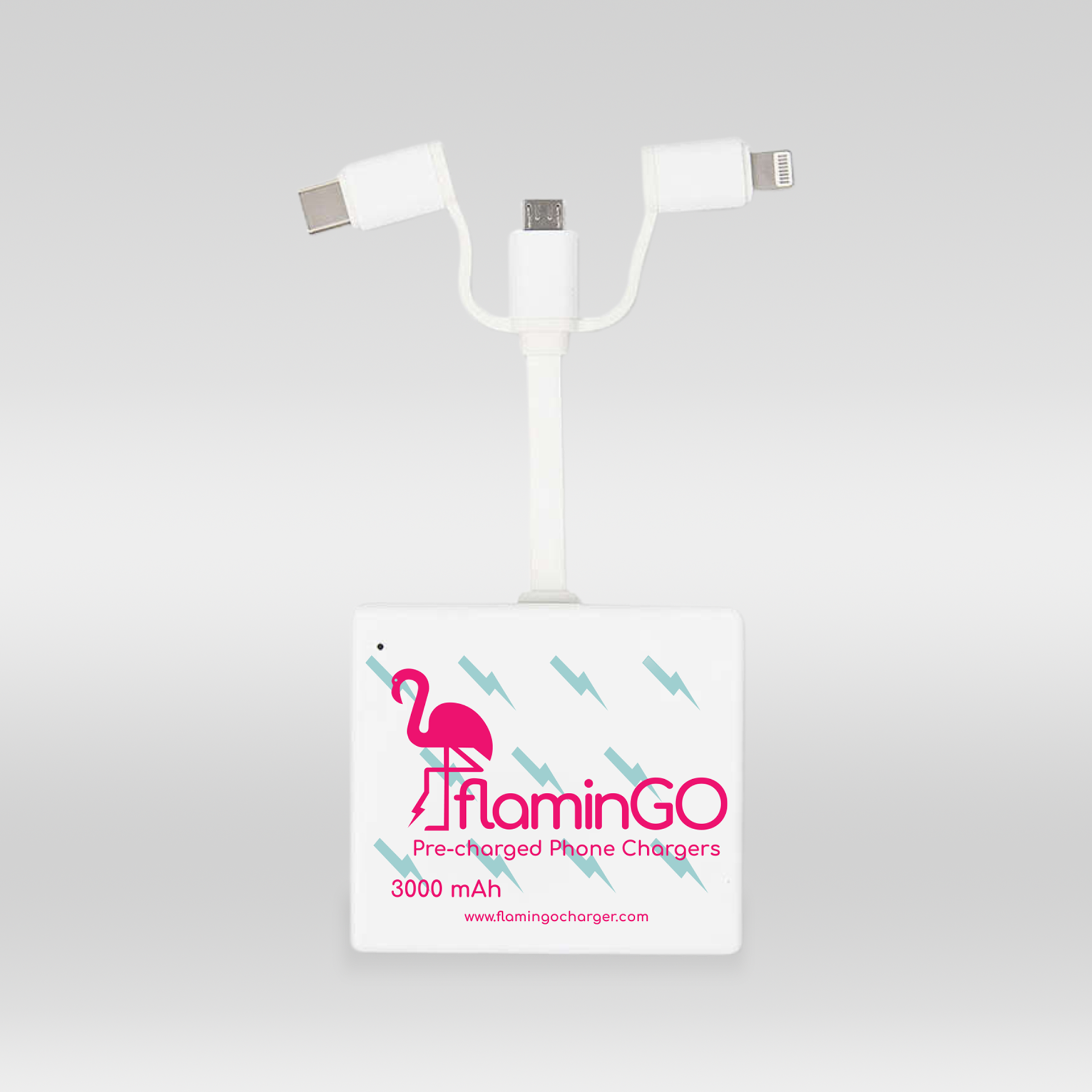 FlaminGo Charger One-Pack